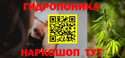 трава Камышлов