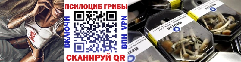 hydra вход  Барабинск  Псилоцибиновые грибы Cubensis 