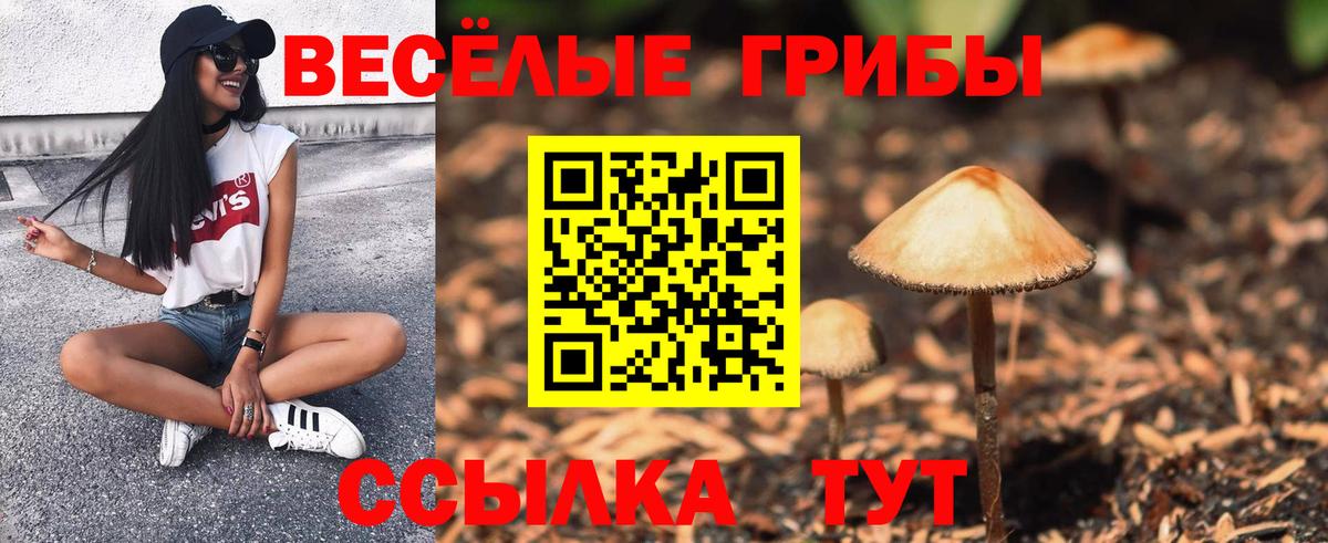 Барабинск  Галлюциногенные грибы прущие грибы  Вход с VPN  Псилоцибиновые грибы GOLDEN TEACHER 