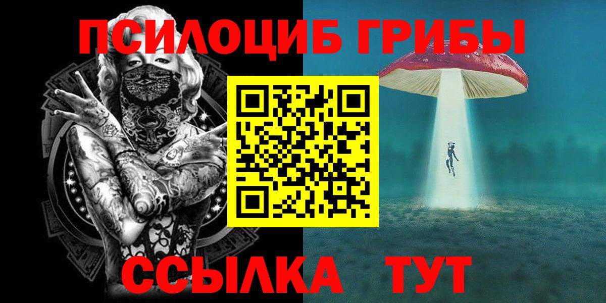 Псилоцибиновые грибы Cubensis Барабинск